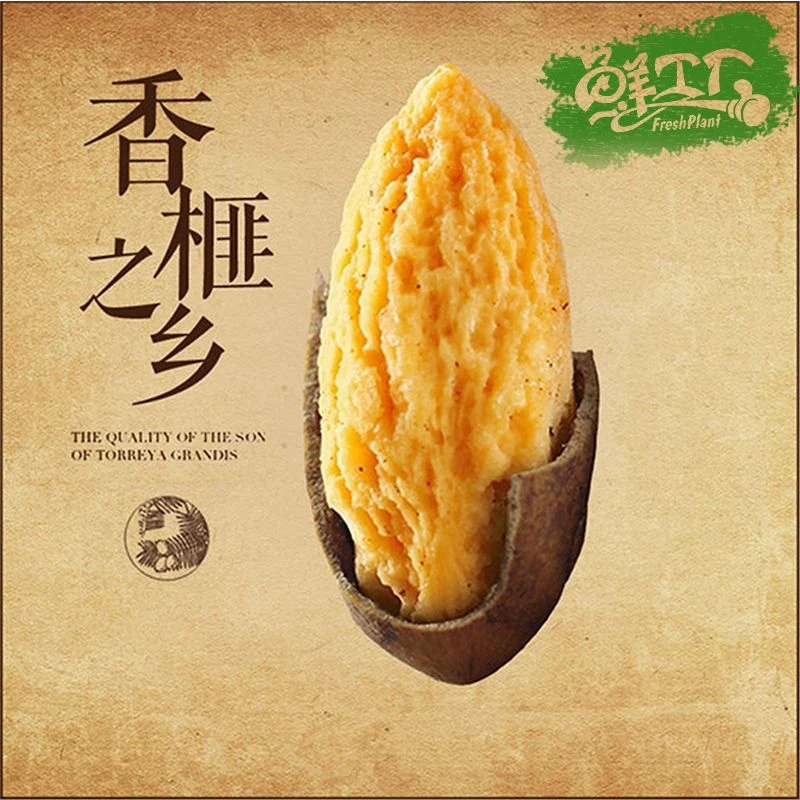 新货香榧子枫桥香榧果罐装15g