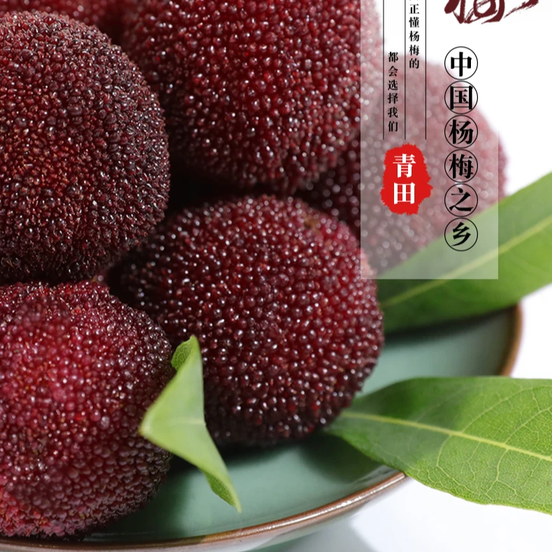 宅生活大棚杨梅顺丰包邮隔天发