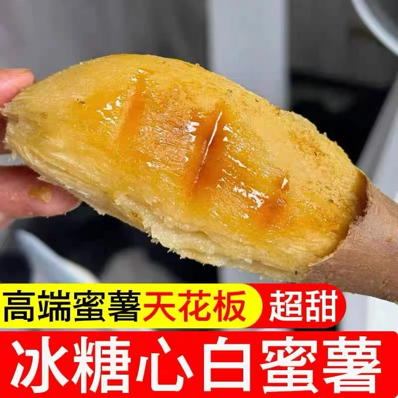 土土专属-乌兰布和沙漠冰糖心白玉薯