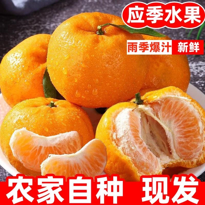 【坏果包赔】冬见椪柑丑柑橘桔子非春见耙耙柑不知火4.5-5斤