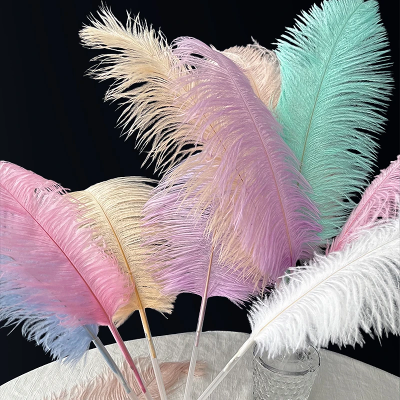 进口彩色鸵鸟毛孔雀毛鲜花花束搭配装饰花艺配饰手工DIY材料