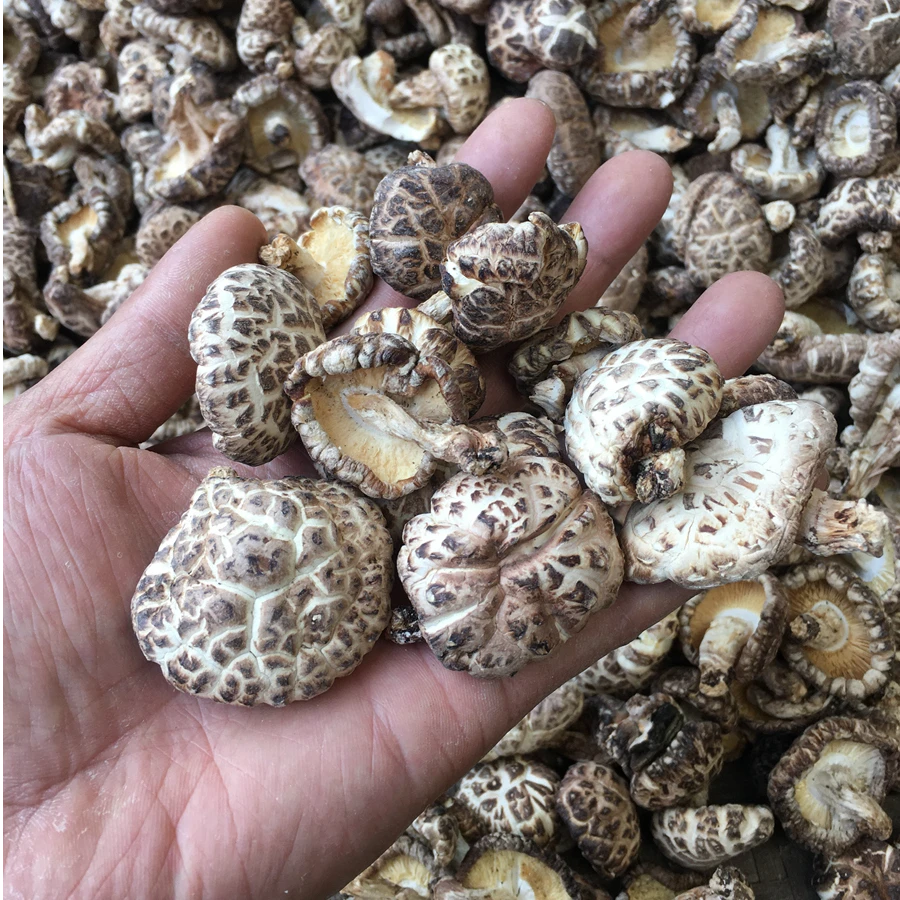 【秦巴百草】村书记助农 秦岭深山干货 肉厚香醇小花菇