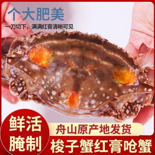 舟山呛蟹红膏呛蟹5-6两每只半斤以上 到手3只 个头大红膏厚【冻蟹】