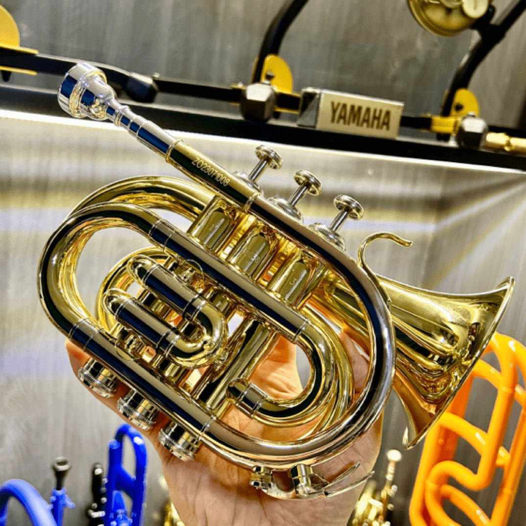 正欧手掌号ZPT1000 降B调 黄铜金色 小号 专业演奏初学者成人