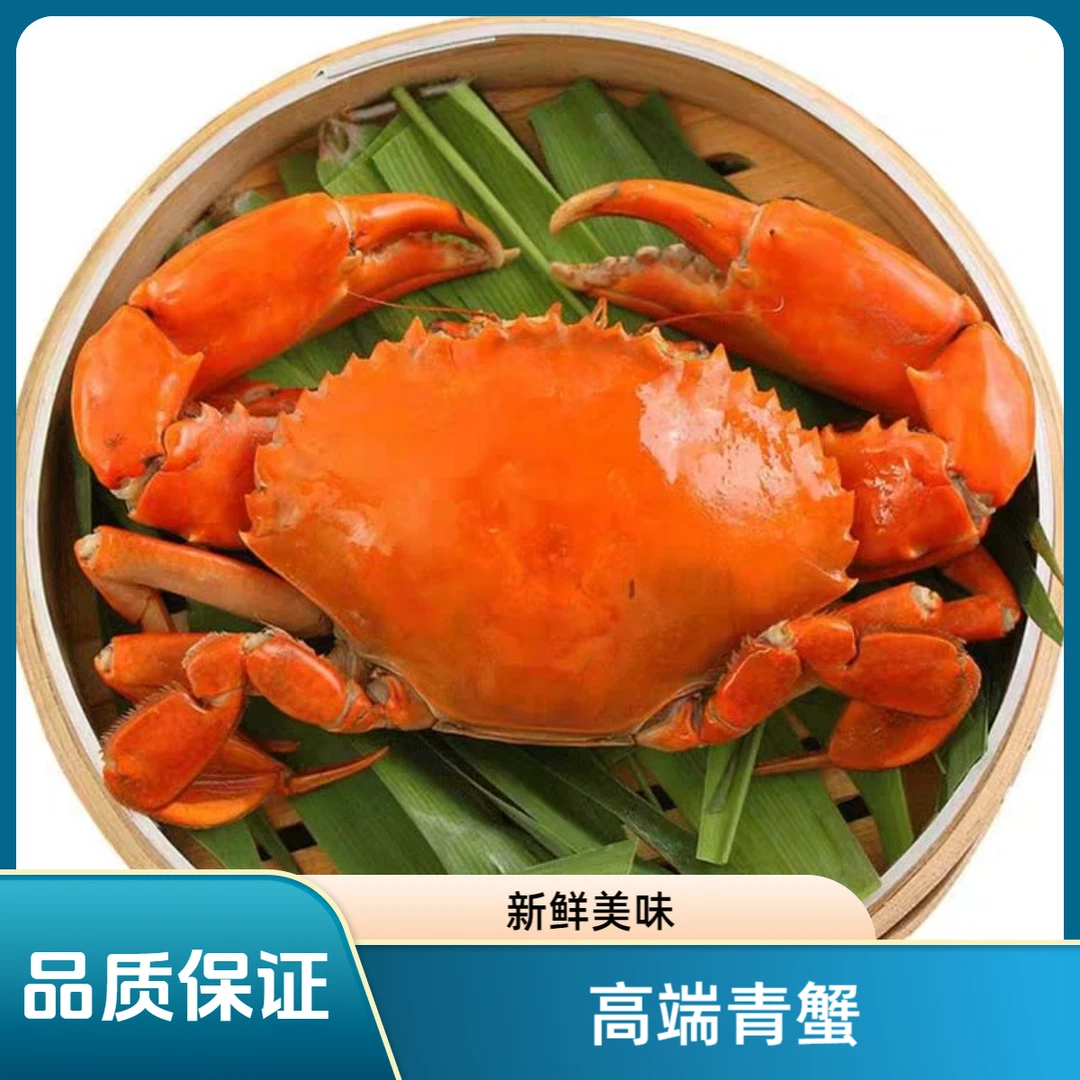 (小礼推荐)福建漳州海捕青蟹膏蟹肉蟹(勿放冰箱)500g-2000g