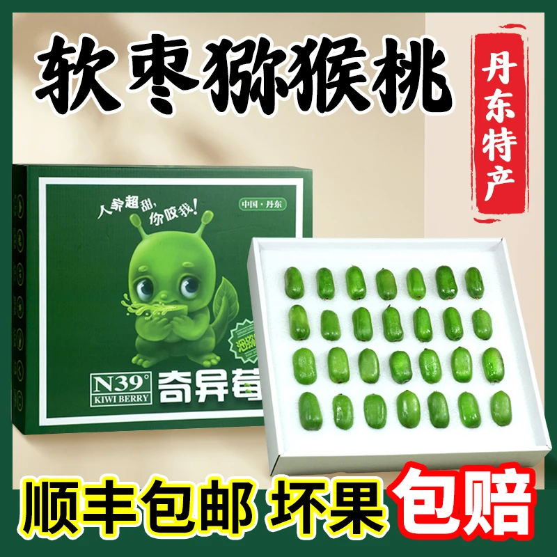 【顺丰包邮】软枣子丹东软枣猕猴桃圆枣子东北软枣奇异莓礼盒装