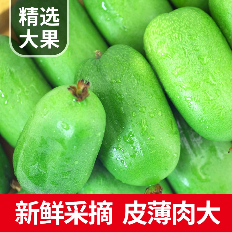 【顺丰包邮】丹东软枣猕猴桃圆枣子东北软枣小猕猴桃奇异莓1斤大果