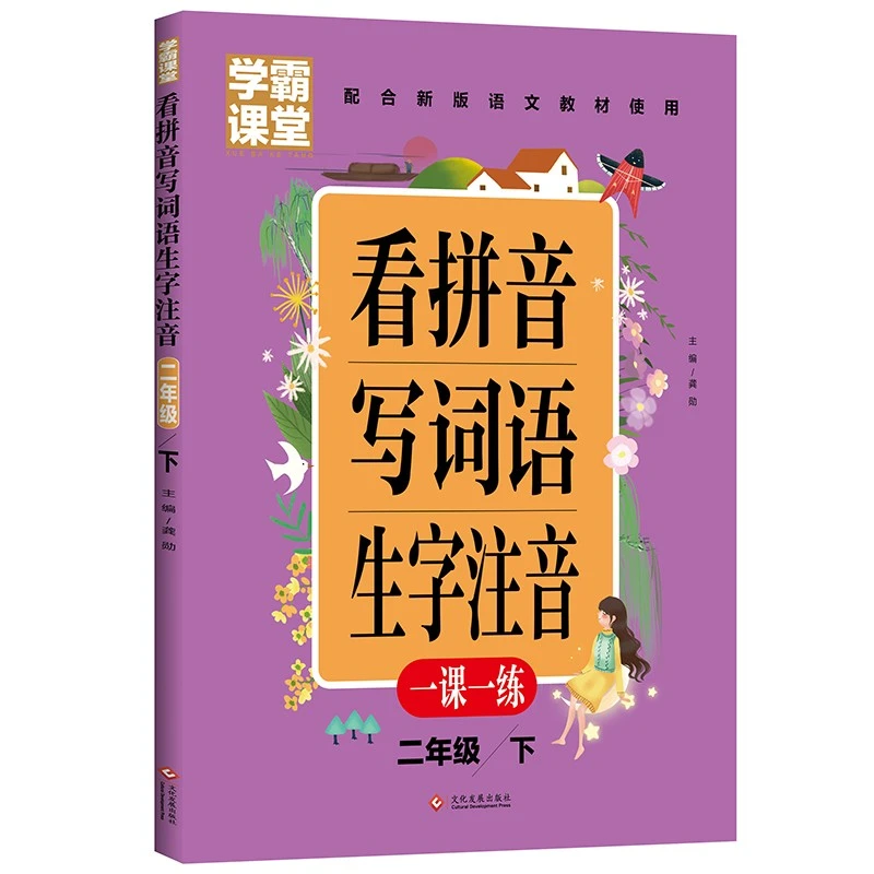 看拼音写词语生字注音 2年级下册同步练习册 课外阅读书籍 人教版