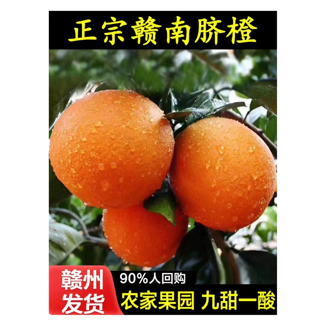 赣南脐橙橙香爽口新鲜采摘大个赣南龙橙10斤礼品装龙橙