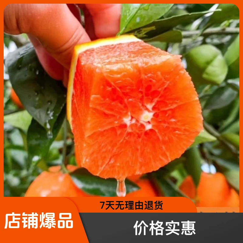 赣南脐橙 梨树血橙 橙中血王 江西橙子鲜甜营养高 直播 红肉血橙