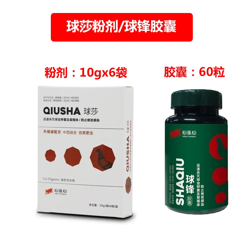 心连心球莎粉剂/球锋胶囊赛鸽信鸽清除球虫血便鸽子用品