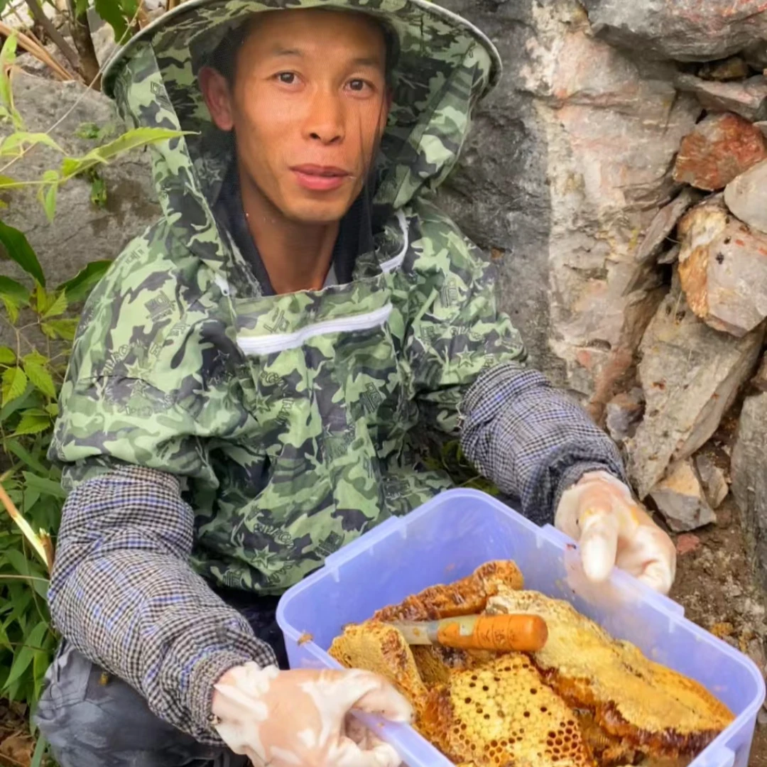 深山土蜂蜜试吃 500G