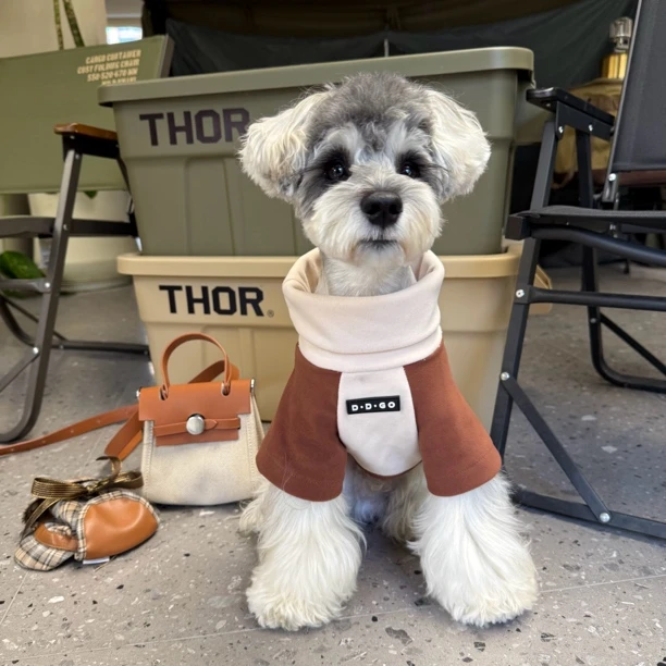 狗狗衣服秋冬加绒保暖雪纳瑞比熊泰迪柴犬西高地高领卫衣【四】