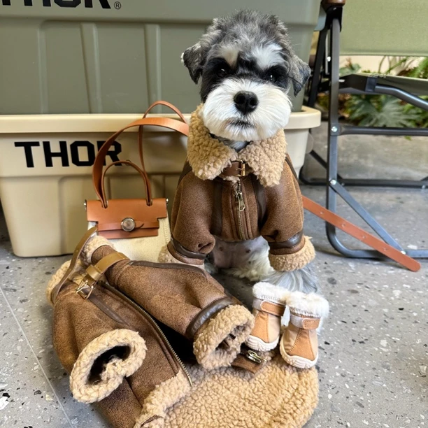 狗狗衣服冬季保暖加厚雪纳瑞比熊泰迪柴犬西高地宠物外套【四】