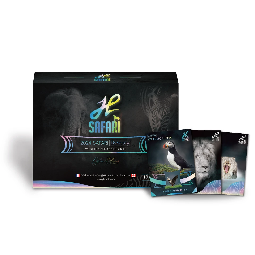 一衡YHcards 2024 SRFARI王朝集换式生命的故事收藏卡牌（代拆）