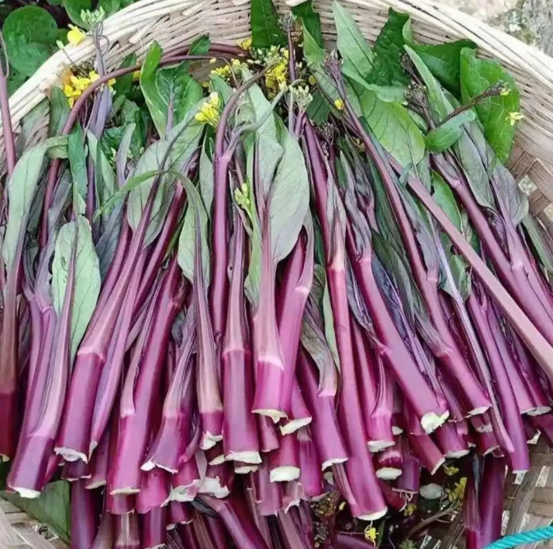 湖南本地红菜苔2斤（农户代卖）