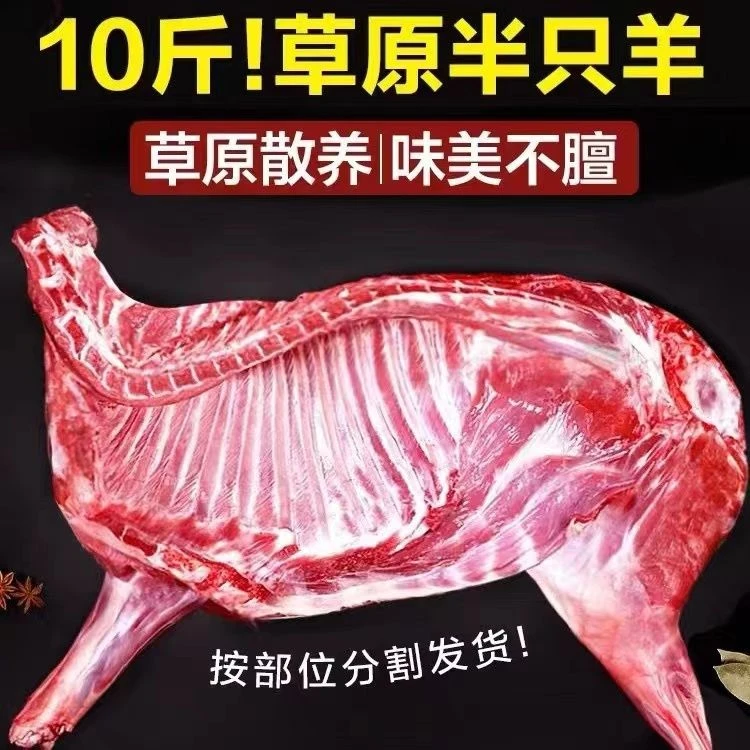 半只整只新鲜10只分割按部位切块羊腿羊排羊蝎子羊肉