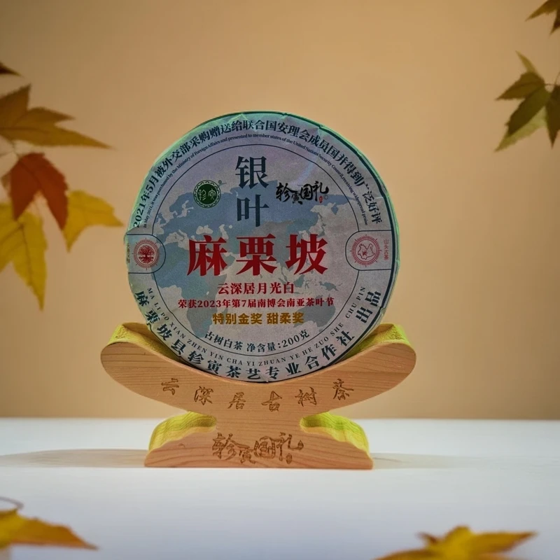 轸寅麻栗坡云深居古树茶（银叶白茶）普洱茶紧压茶
