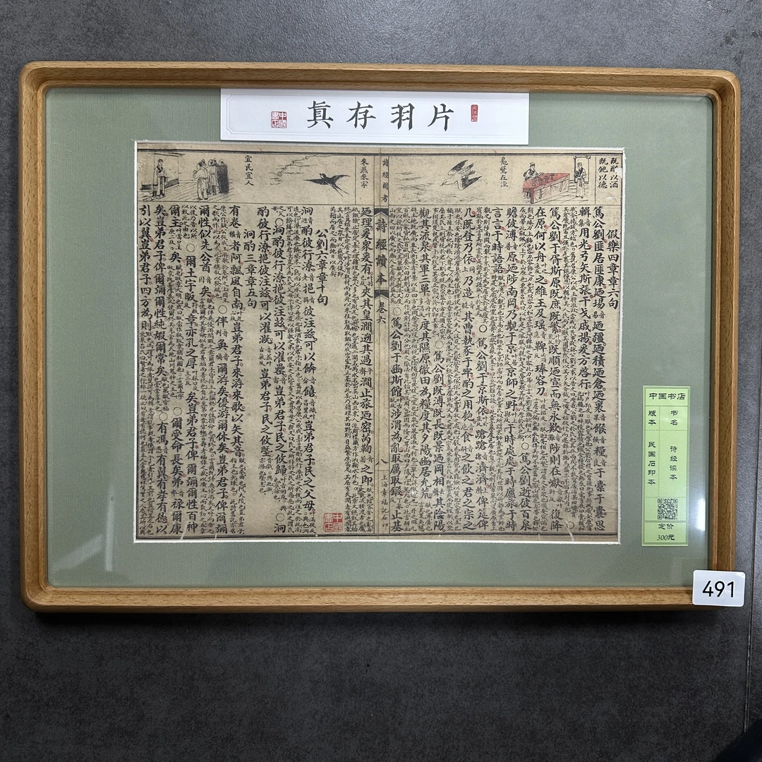 片羽存真491-500  A3榉木《诗经读本》《唐诗别裁集》《周易广义》等