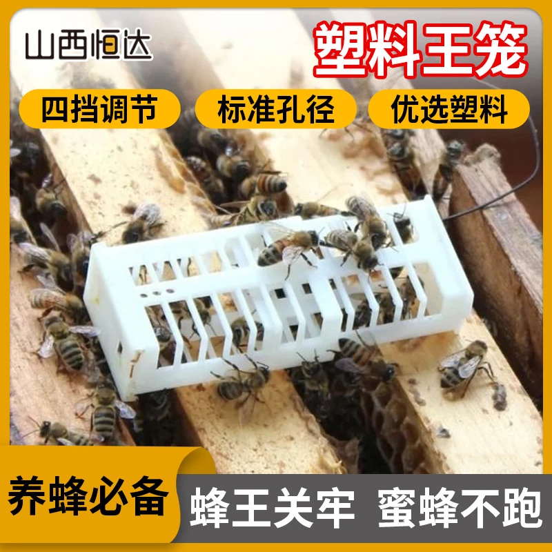 【塑料王笼】多功能囚王笼中蜂意蜂加长介王笼蜂王笼养蜂工具