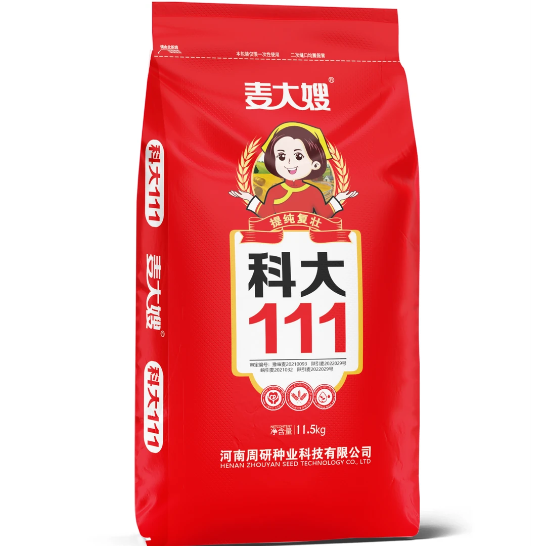 科大111，大穗，大粒，大群体，抗冻好，抗病好，产量高的小麦种子