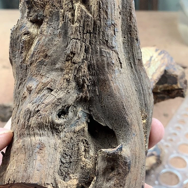 黄花梨/降香黄檀w****?黄油全开