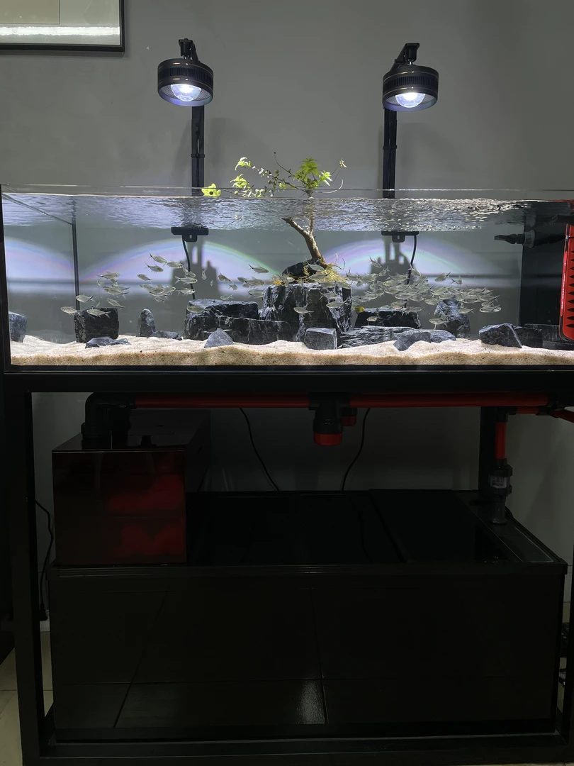 溪流缸造景  黑金石/溪流石/河沙 可提供图片或主题定制