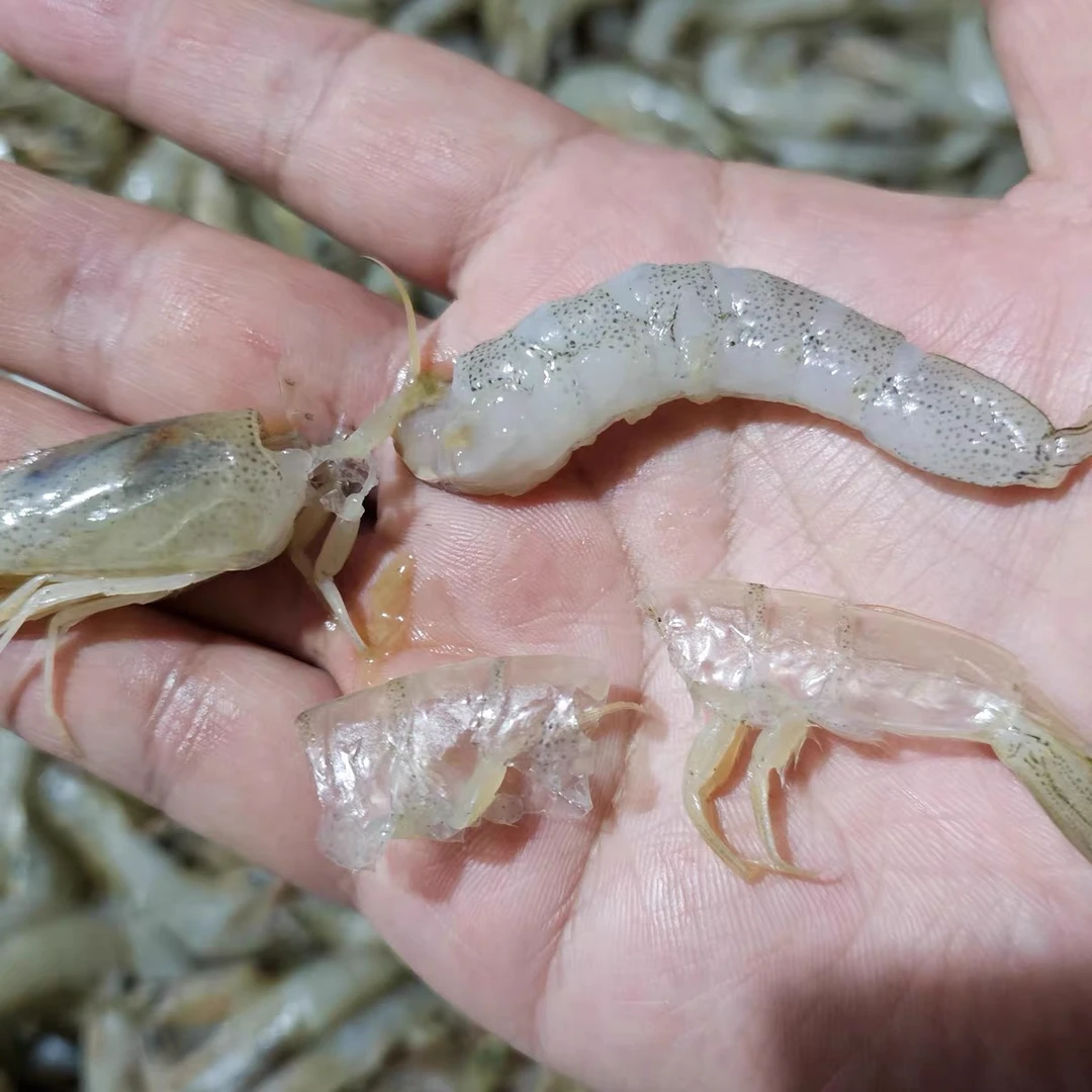 青岛本地新鲜羊毛虾 4斤/一斤一盒 顺丰包邮到家