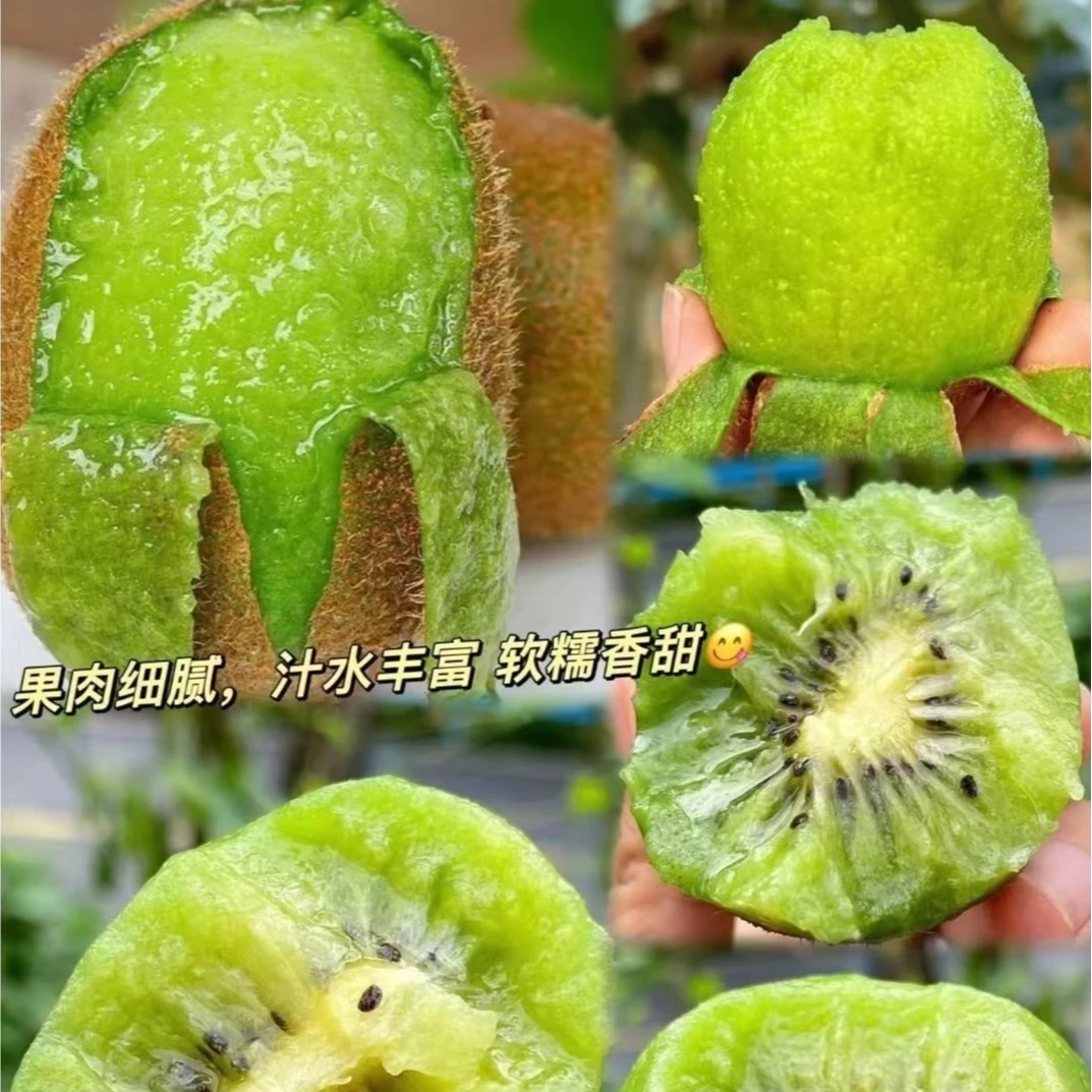 5粒装超甜奇异果（放软了超甜）全城配送