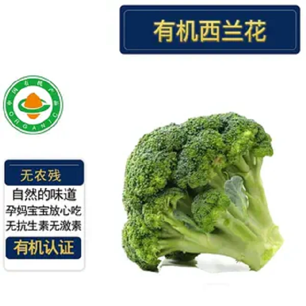 有机西兰花3斤 新鲜蔬菜有机认证有机码美味沙拉辅食低卡