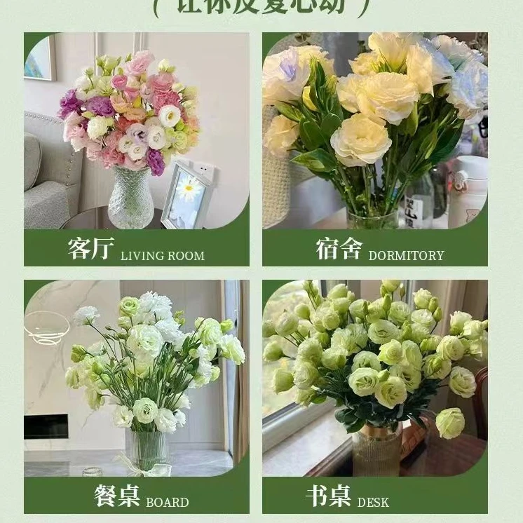 胖胖专属链接养护洋桔梗鲜切花