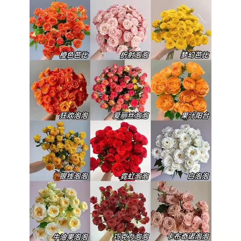 胖胖专属链接 多头泡泡 多头玫瑰