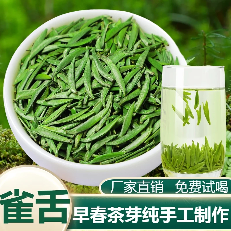 明前四川雀舌绿茶颗颗芽头浓香高级耐泡贵州高山春茶竹叶茶