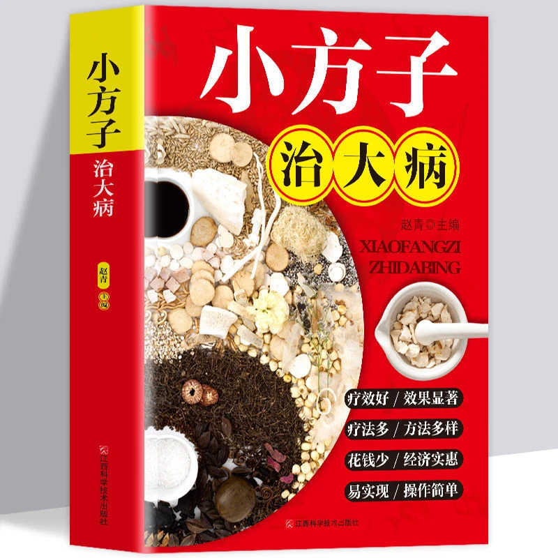 小方子治大病小偏方大功效民间偏方书籍中医养生家庭医生健康保健