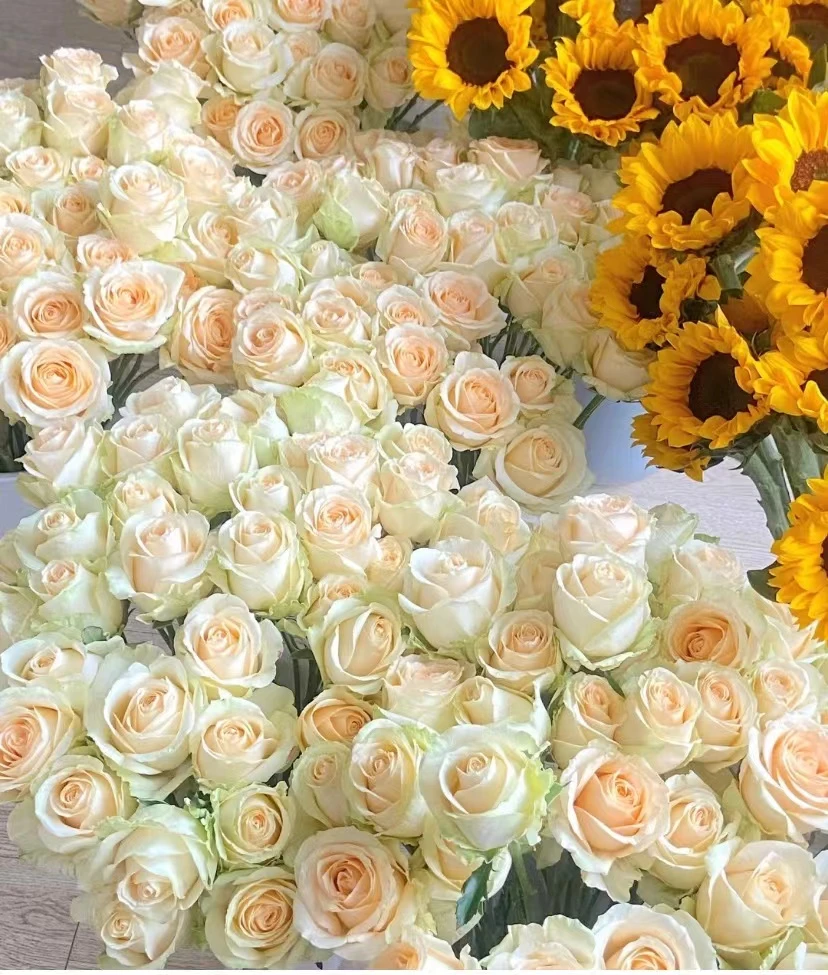 鲜花礼盒--随机玫瑰-0度以下不拍保温棉冻坏不售后