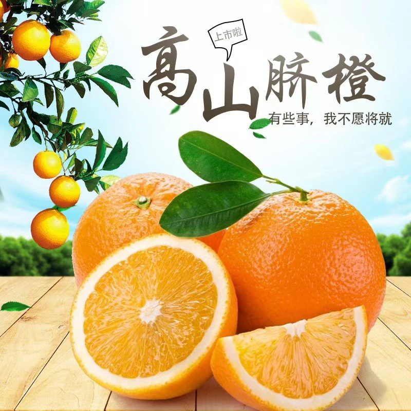 【10年老树】赣南脐橙新鲜现摘不打蜡不催熟不染色 果园直发 TY-1
