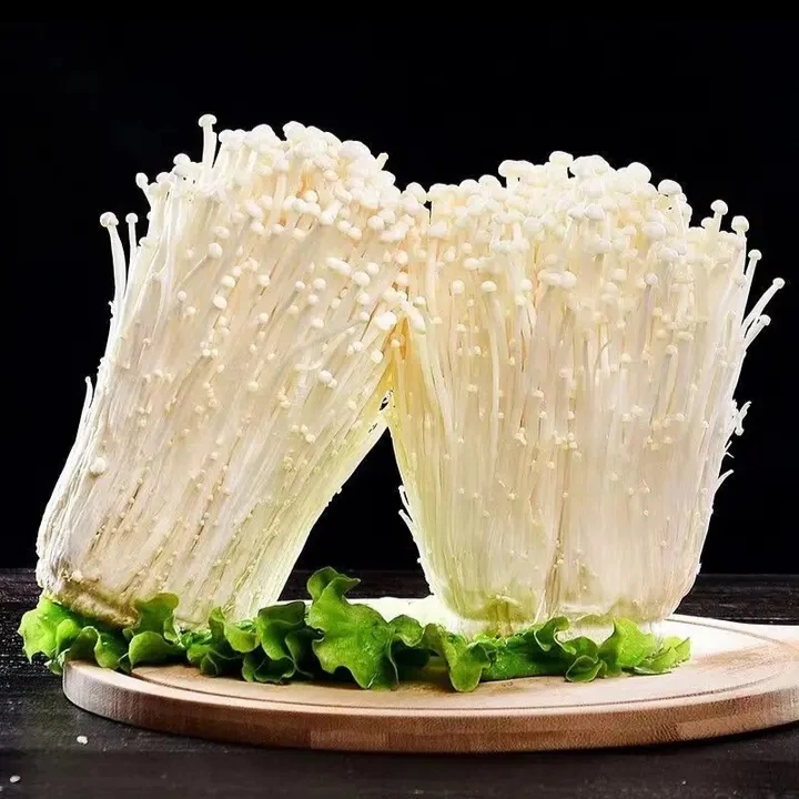 【蔬菜】鲜金针菇一斤500g