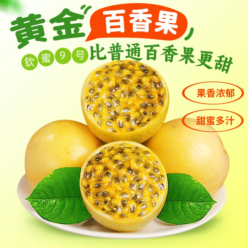 游小艺钦蜜9号黄金百香果10粒单果60-70g 新鲜应季水果 坏果包赔