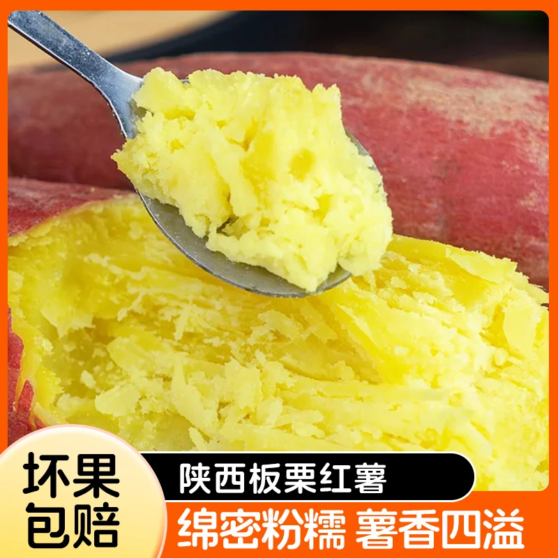 游小艺板栗红薯1箱正宗板栗薯新鲜蔬菜小香薯蜜薯地瓜农家自种