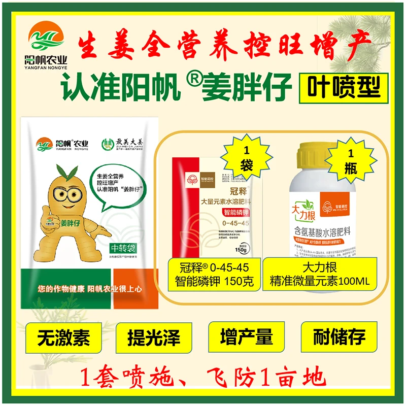 阳帆姜胖仔生姜全营养控旺增产叶喷无激素耐储存姜色好