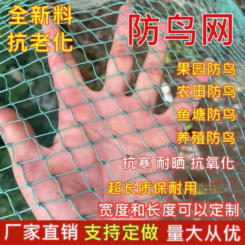 果园专用尼龙防鸟网防护网耐用透气防护养殖网养鸡网环保网定做