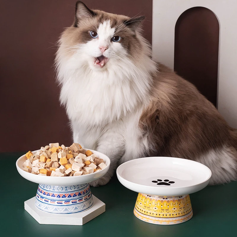 波西米亚风猫碗陶瓷高脚猫罐头零食餐碟猫粮盘猫专用碗浅口猫餐盘