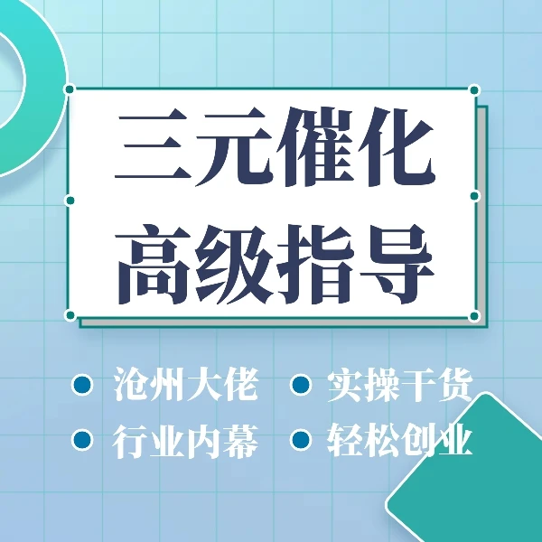三元催化再生技术高级指导