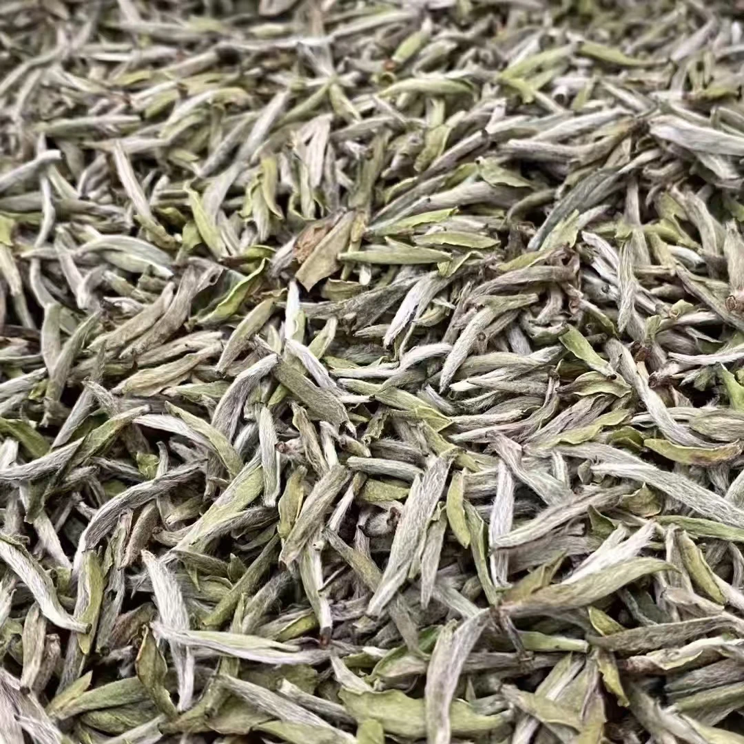 【捡漏 22年雪后银针】2022年福鼎管阳西昆头采特级白毫银针