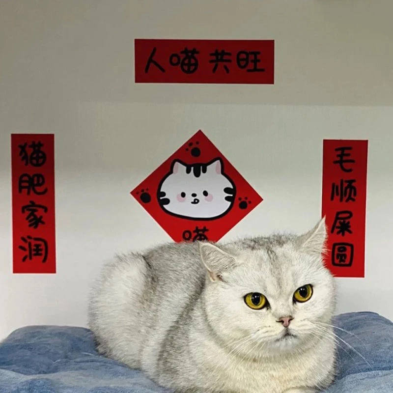原创新年猫猫春联可爱房间装饰卡通插画猫窝创意过年贴纸对联大门
