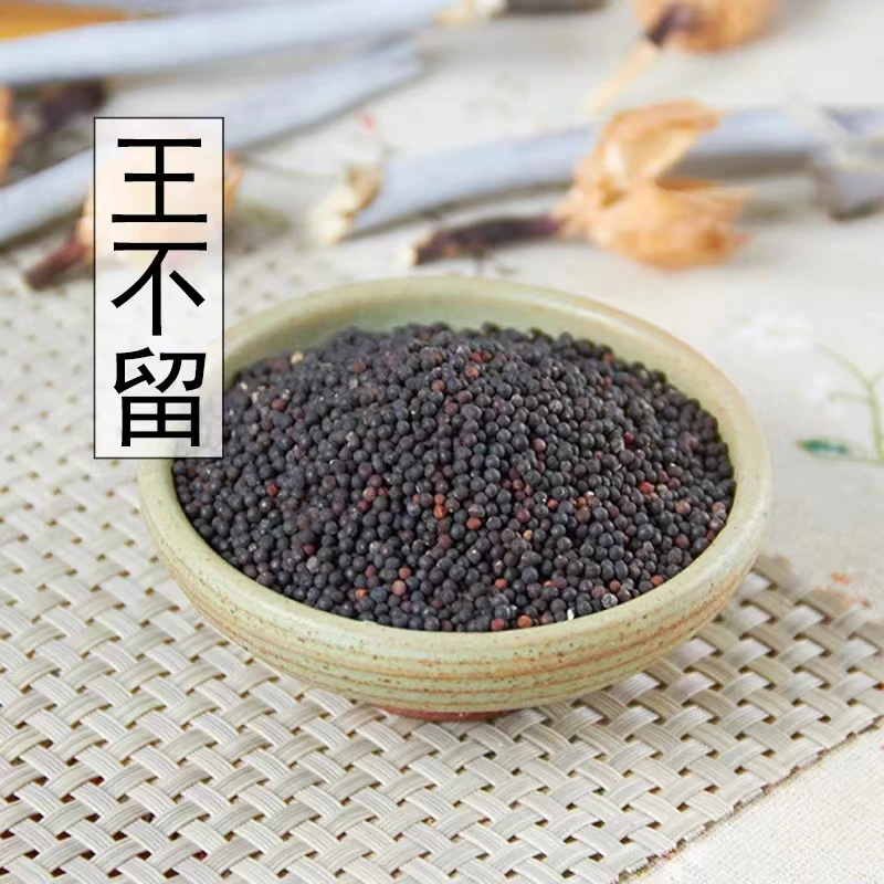 精选新货生王不留行炒王不留行王不留籽 留行子新货正品 包邮