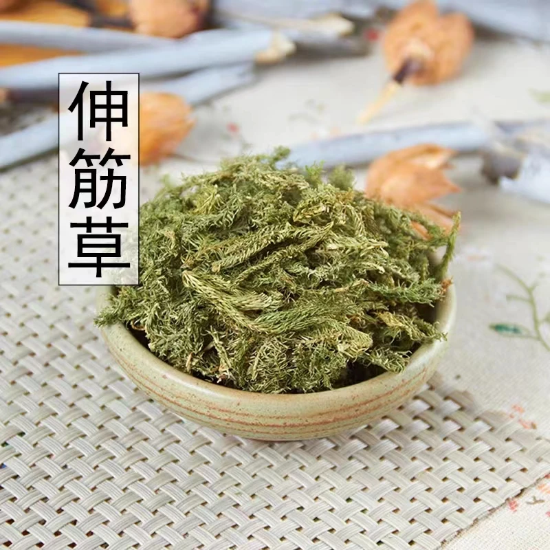 广西野生伸筋草新货舒筋草深山精选透骨草特产包邮根茎