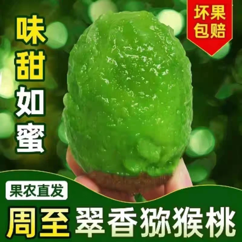 【放软食用】陕西周至正宗翠香猕猴桃新鲜现摘现发水果香甜