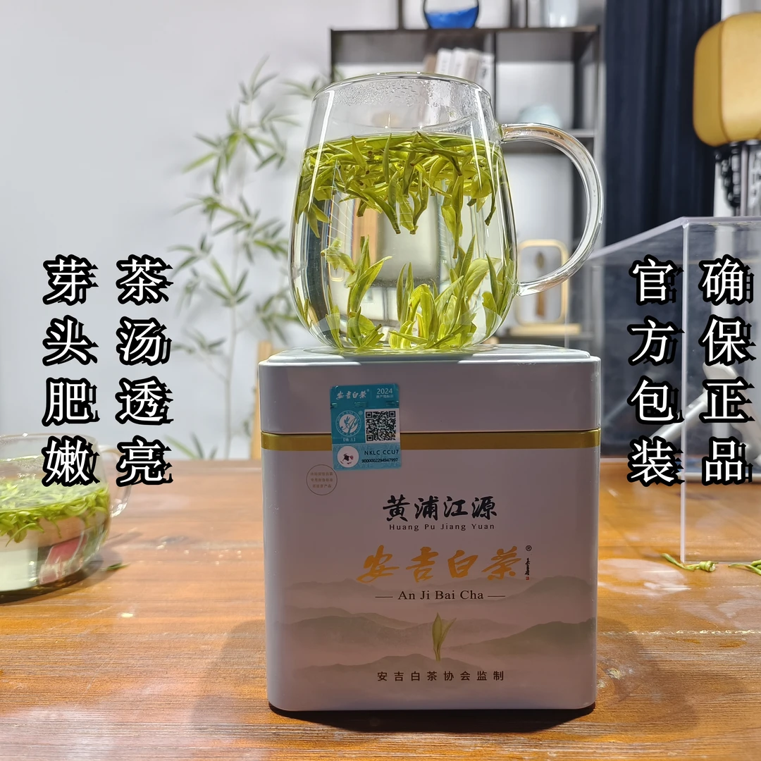 主播推荐2024新茶原产地采摘纯正鲜爽一叶安吉白茶品质甄选礼品茶