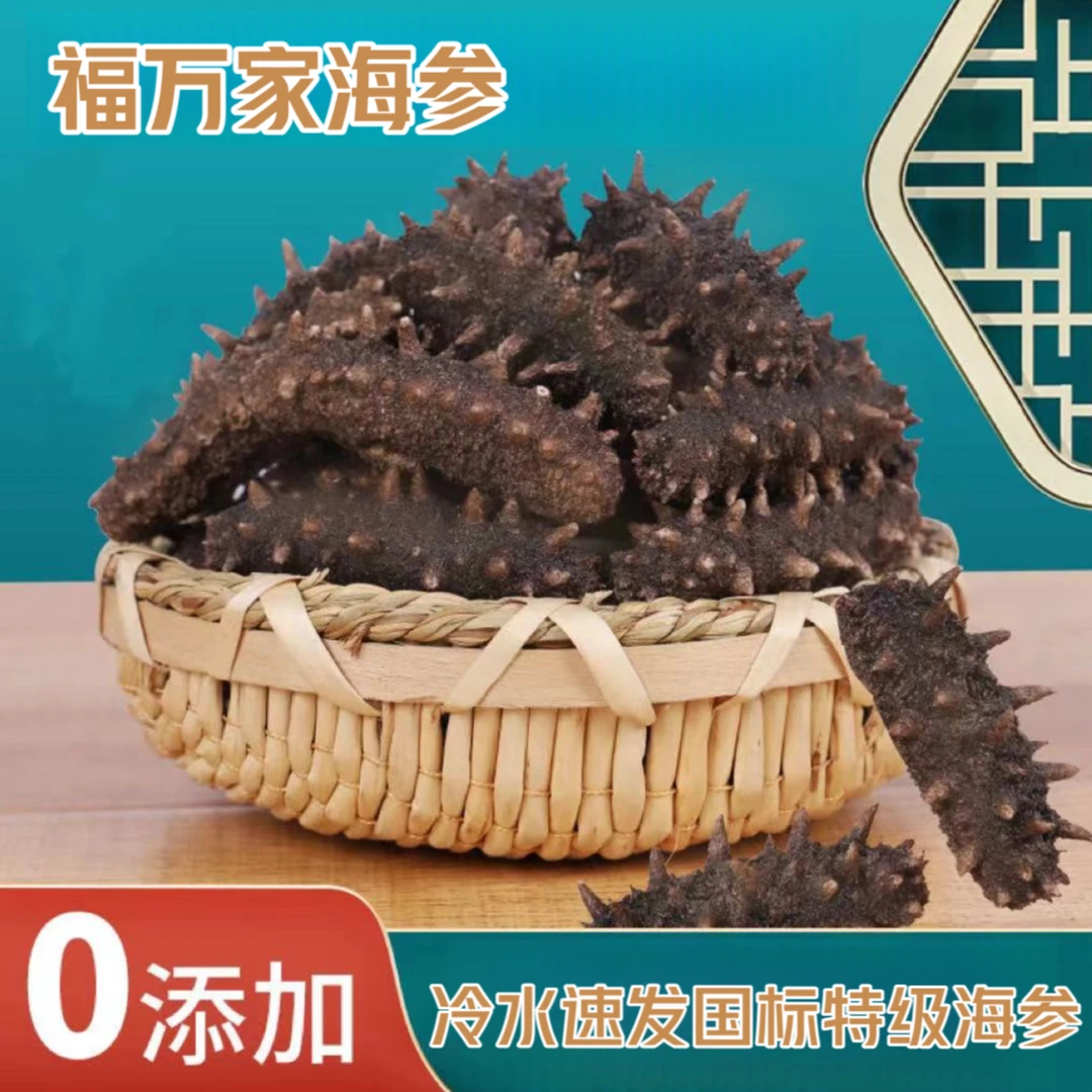【20倍高泡发】免蒸煮冷水速发 国标特级海参  纯淡干海参到手21头